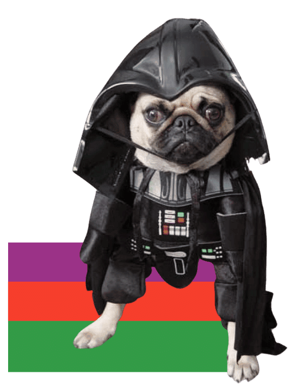 Pug Darth Vader