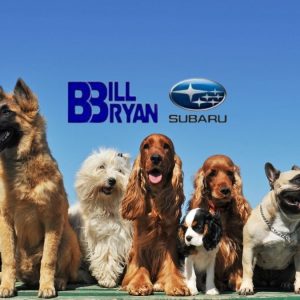 Pet adoption day at Bill Bryan Subaru with The Animal League
