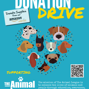Donation Drive Flyer for The Animal League
