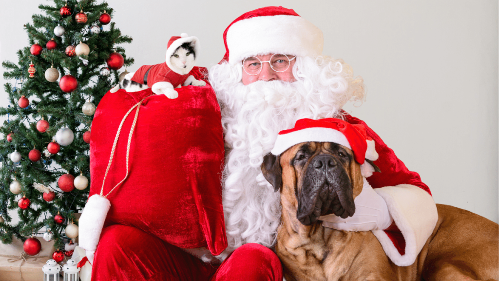 Pictures with Santa by The Animal League