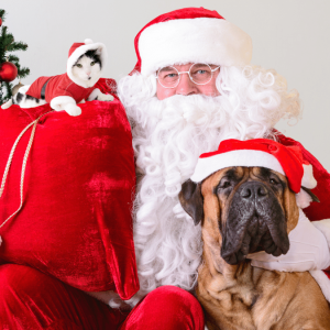 Pictures with Santa by The Animal League