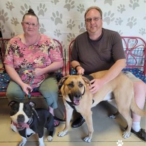 Wally's new parents and TAL Alumni, Bentley (an Anatolian Shepherd Blend), come to collect Wally from the Animal League.