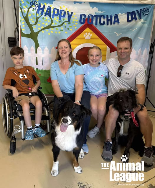 Trooper sits happily with his new foster family (mom, dad, a young girl and a boy in a wheelchair, and furry sibling) on his adoption day.