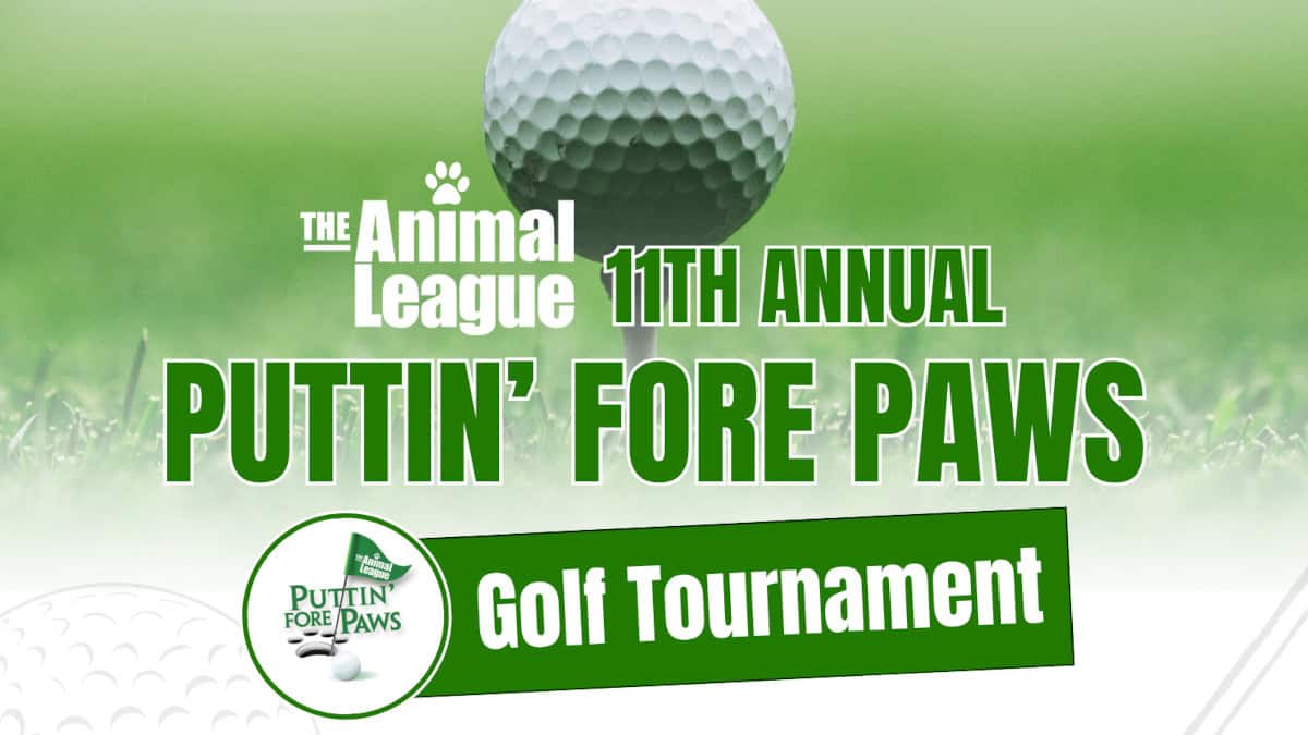 Puttin’ Fore Paws 2026 – Registration Now Open