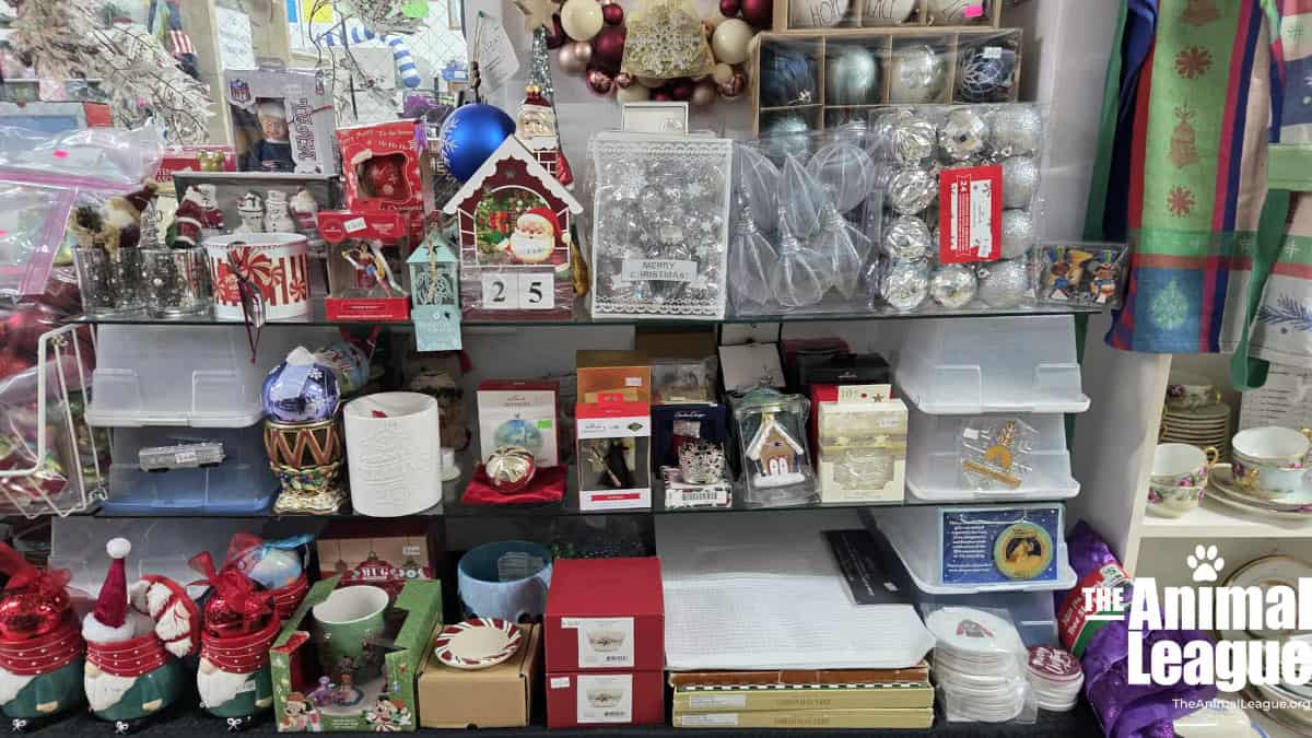 Holiday Magic Awaits at The Animal League Thrift Store!