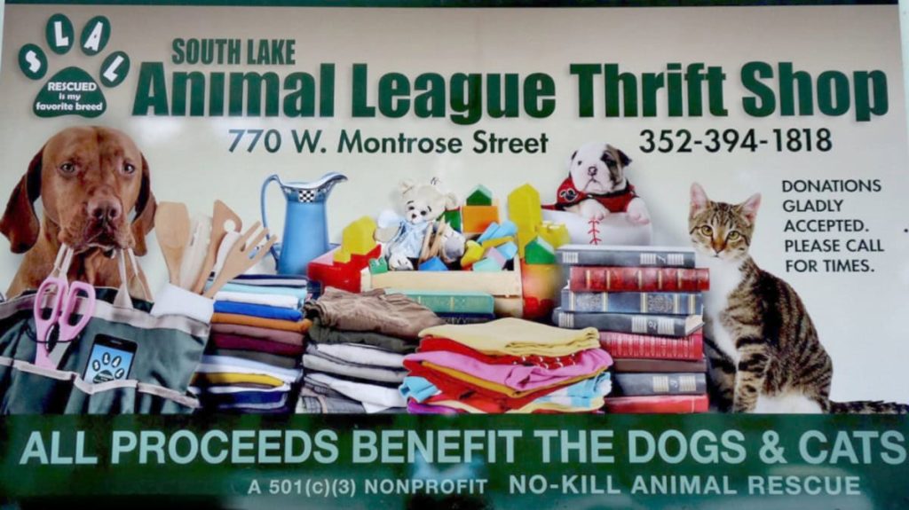 Newly curated product picks at The Animal League Thrift Shop