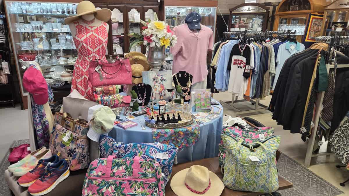 Our Thrift Shop Top Picks & Curated Collections