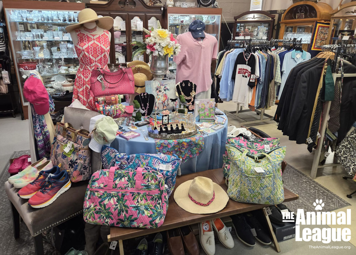 Two mannequins look pretty in pink, whilst the table in front of them displays all sorts of jewelry and trinkets. Bags, hats and shoes around the table, in pinks, greens, blues and floral prints, bring a truly springtime feel to this display.
