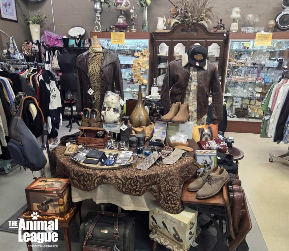 A table showcases the latest collection of men's shoes, wallets, bags, ties, cufflinks, and more. Behind it stand two mannequins dressed in dapper style, with more clothing arranged on rails, ready for your perusal.