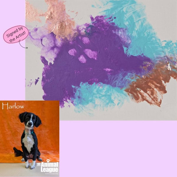 Harlow's painting consists of a big purple splodge on a big blue splodge, and a paw print right in the middle resembling a butterfly.
