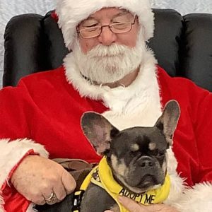 Pet Photos with Santa at Villages Subaru