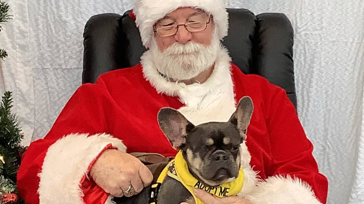 Pet Photos with Santa at Villages Subaru