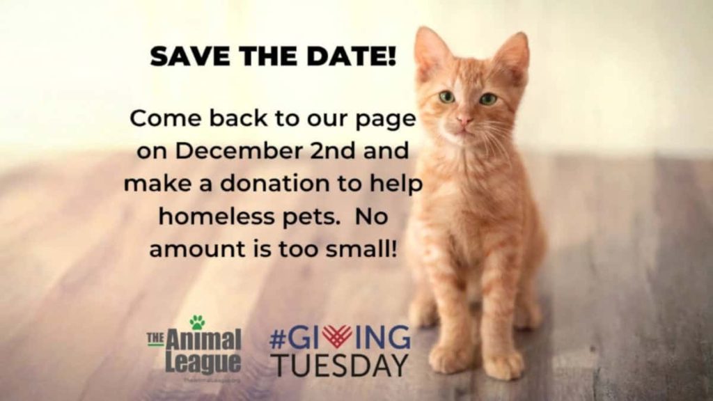 Save the Date! December 2 is Giving Tuesday
