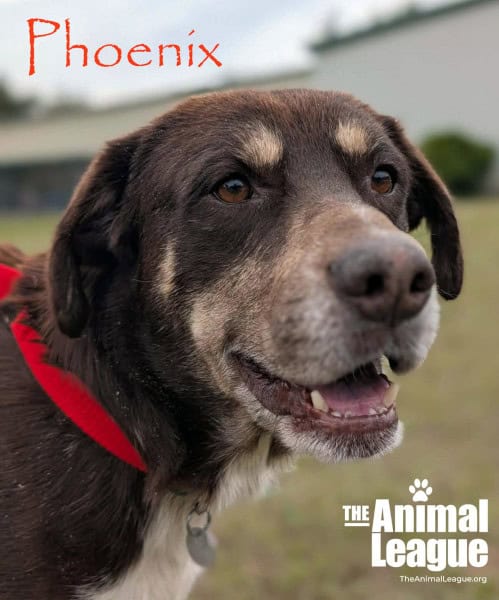 Phoenix is bright-eyed and smiling.