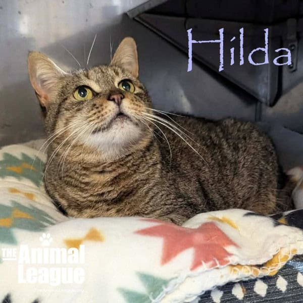 Hilda