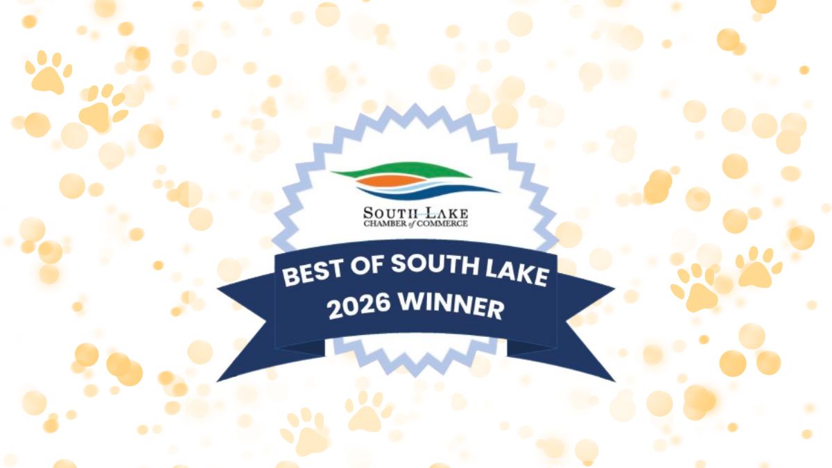 Best of South Lake, A Win For Kermie, And An Oligodactyl Cat [News – March 2026]
