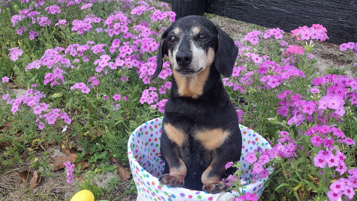 Katie’s Story: A Second Chance at Life