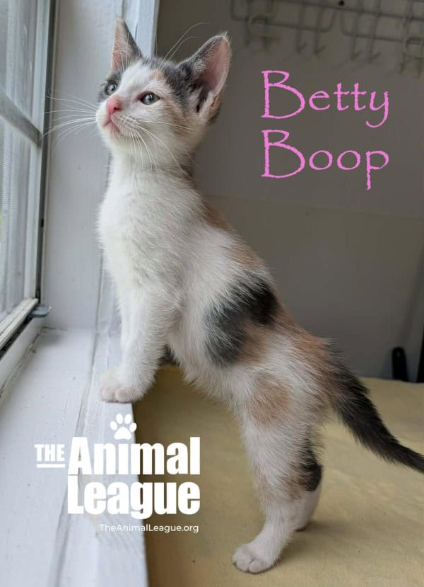 Betty Boop
