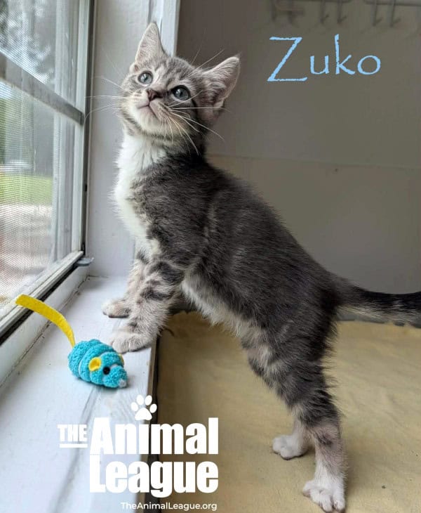 Zuko