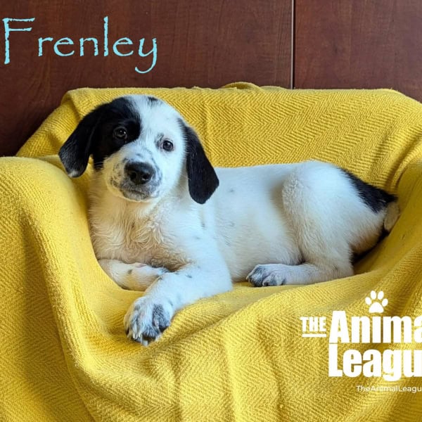 Frenley