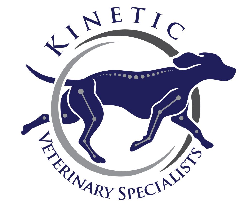 Kinetic Veterinary Specialists
