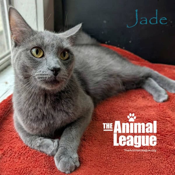Jade