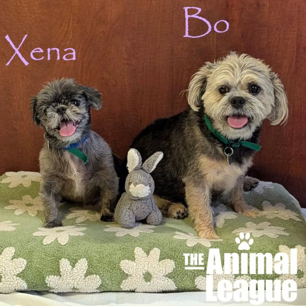 Xena & Bo