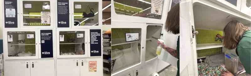 Volunteers clean out the four, white cat condos at Petco. Each condo has comfortable two-tier sleeping areas with viewing window.