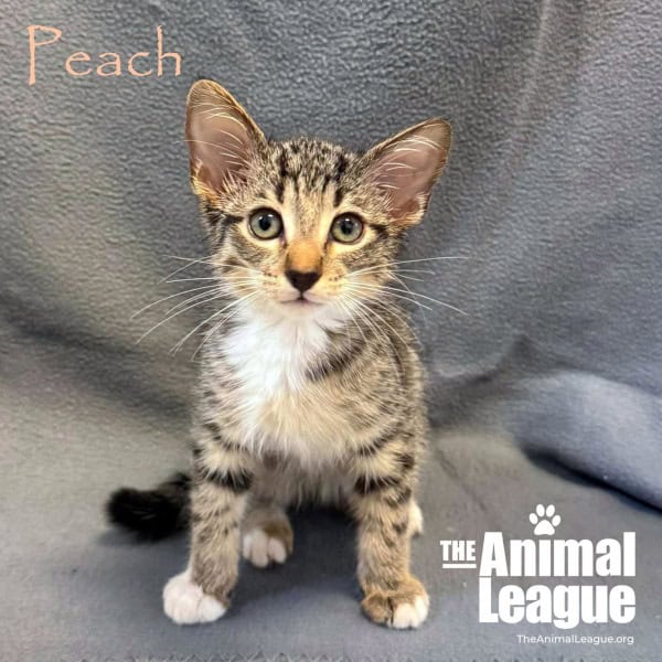 Peach