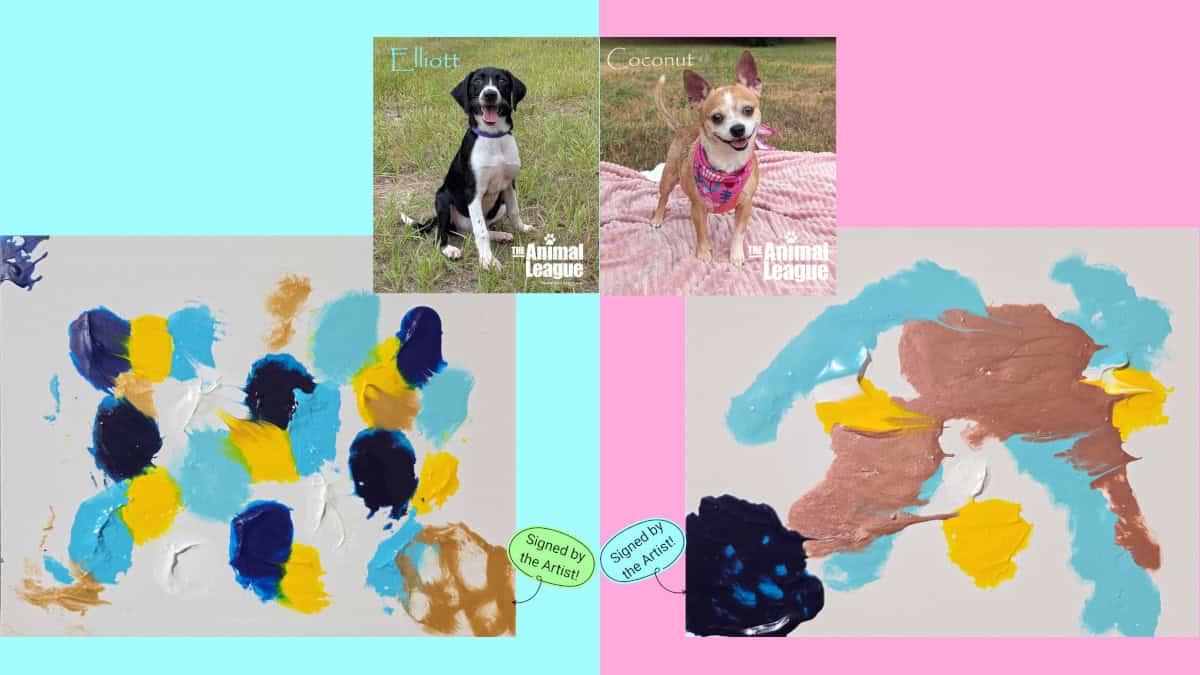 Puppy Paintings!
